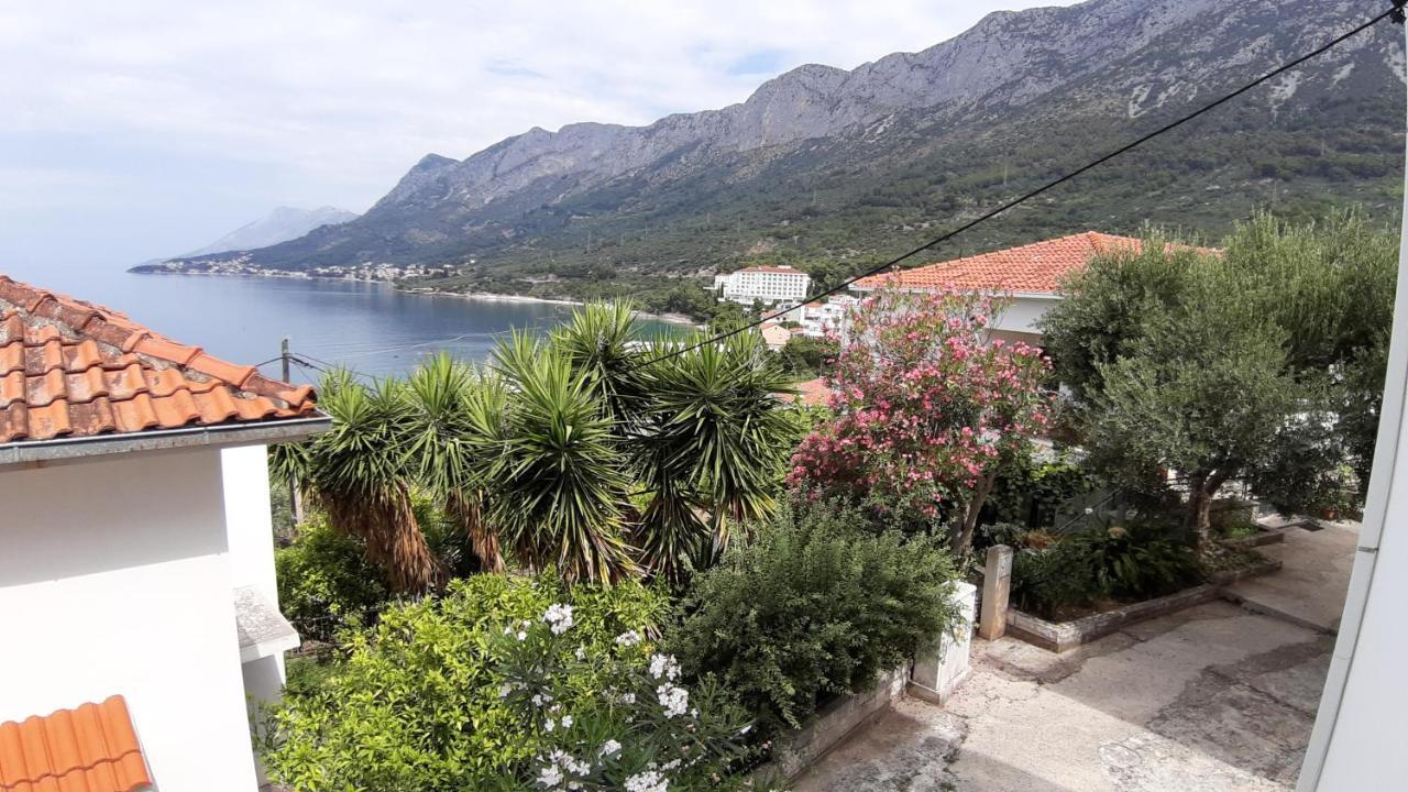Apartmani Lara Gradac  Exterior photo
